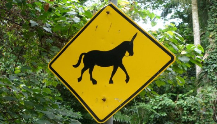 Image credit to rumpleteaser, Creative Commons unicorn